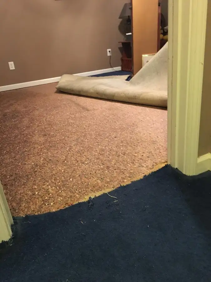 Carpet pad removal revealing water damage during Drying & Dehumidification in Minnehaha