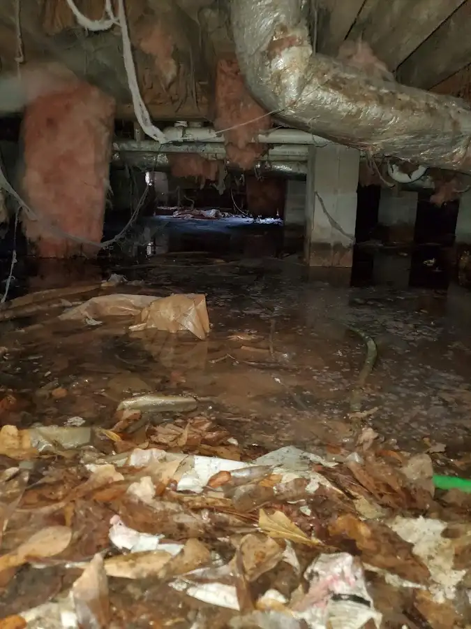 Crawl space flood assessment for Commercial Water Damage Restoration in Minnehaha